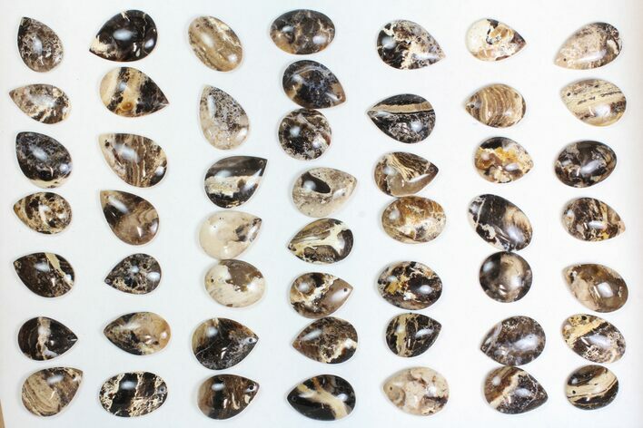 Lot: Polished Madagascar Black Opal Pendants - Pieces #138967